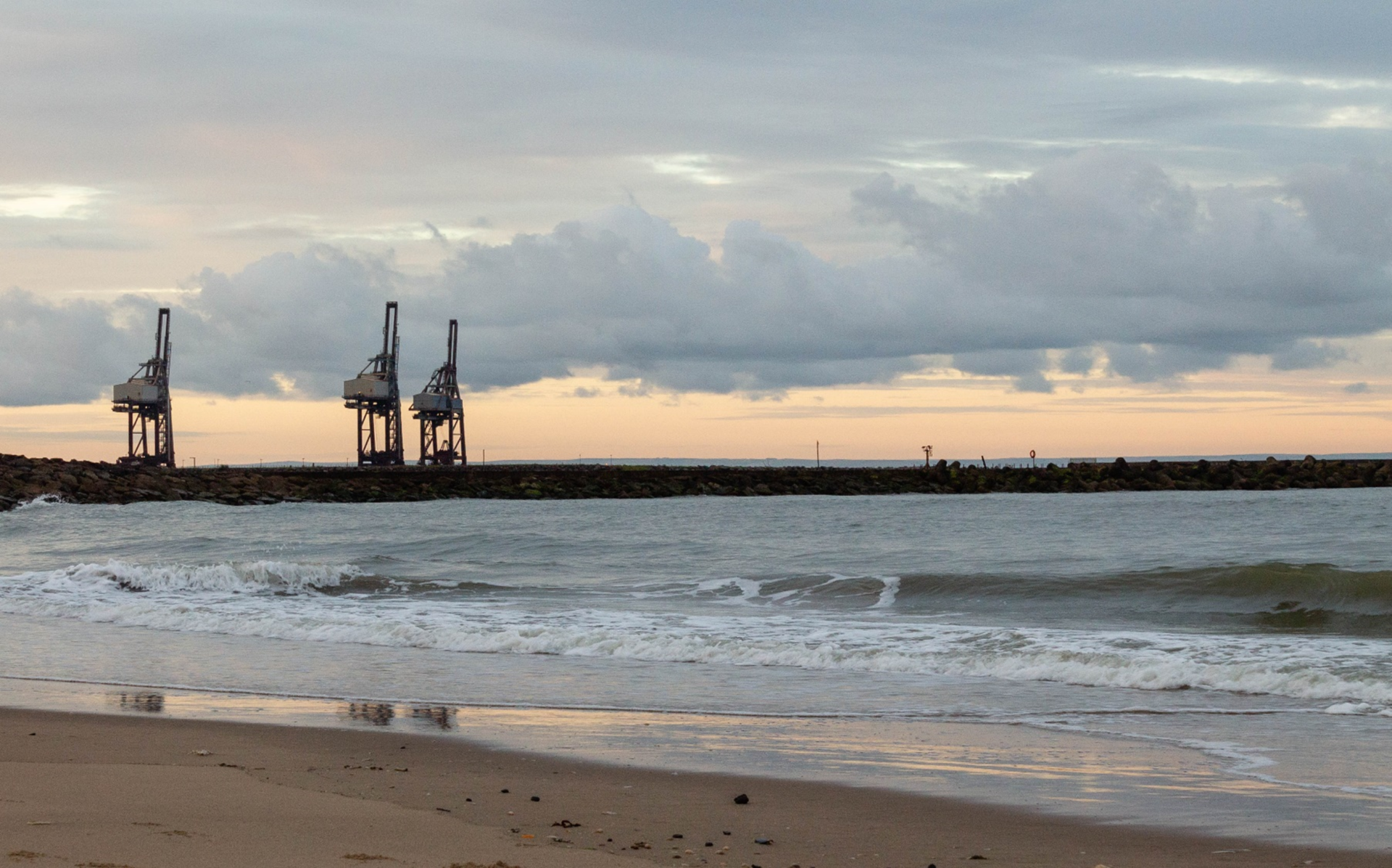 Aberavon elephants